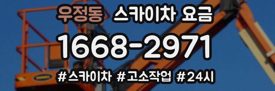 우정동 스카이차 요금