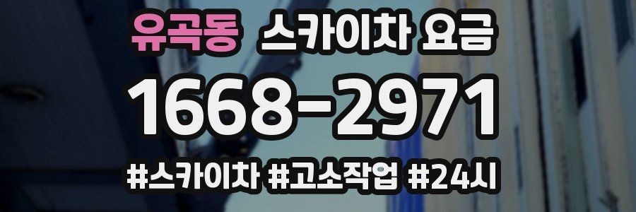 유곡동 스카이차 요금