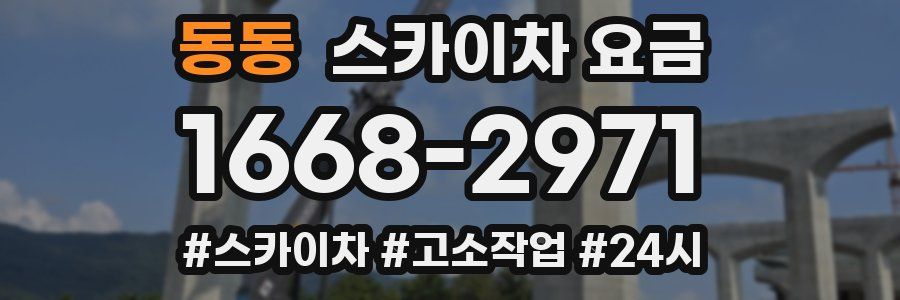 동동 스카이차 요금