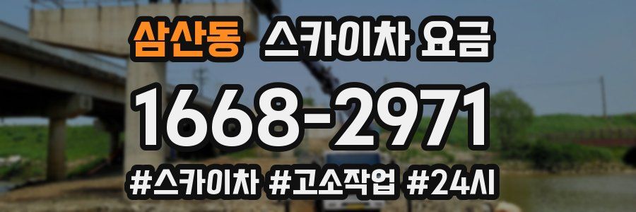 삼산동 스카이차 요금