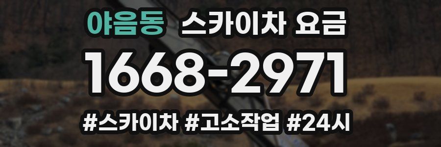 야음동 스카이차 요금