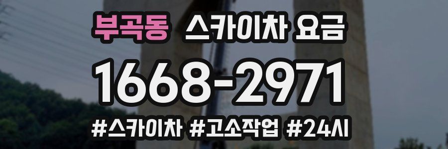 부곡동 스카이차 요금