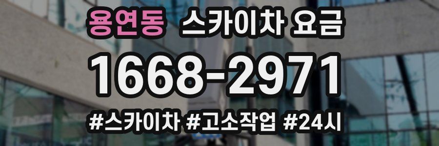 용연동 스카이차 요금