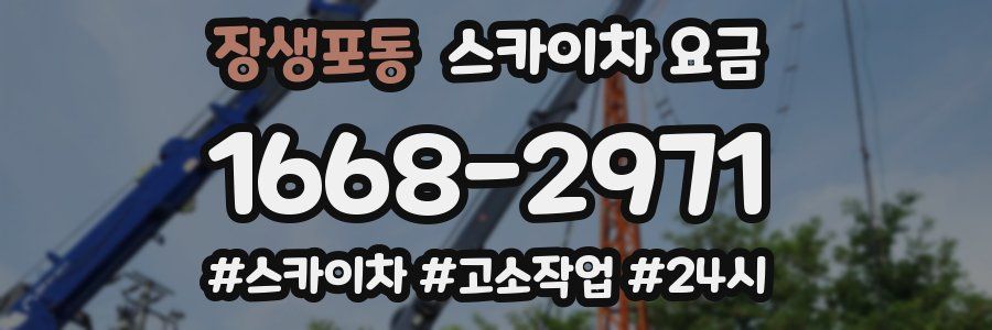 장생포동 스카이차 요금