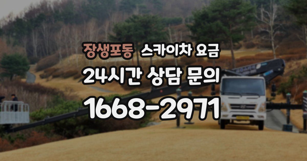 장생포동 스카이차 요금