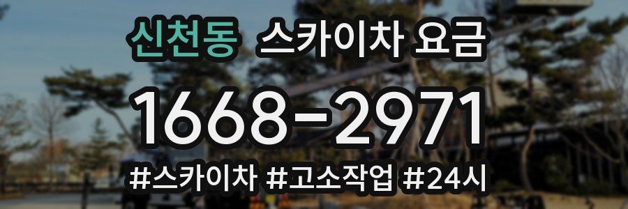 신천동 스카이차 요금