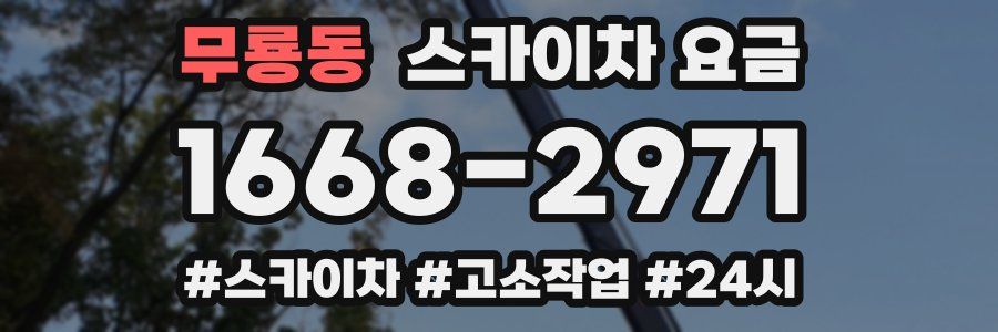 무룡동 스카이차 요금