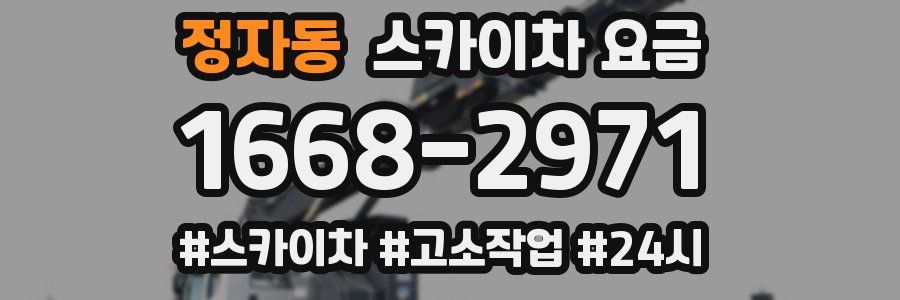 정자동 스카이차 요금