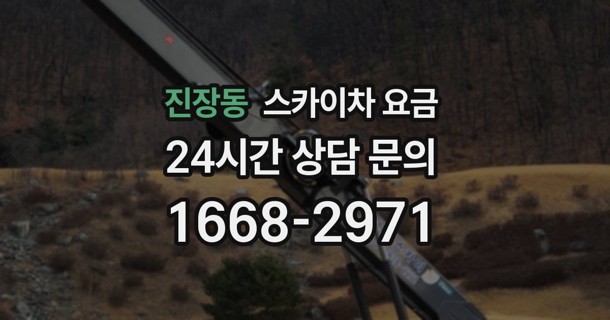 진장동 스카이차 요금