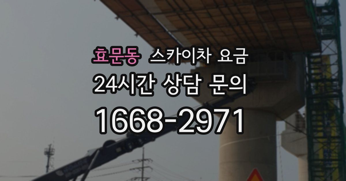 효문동 스카이차 요금