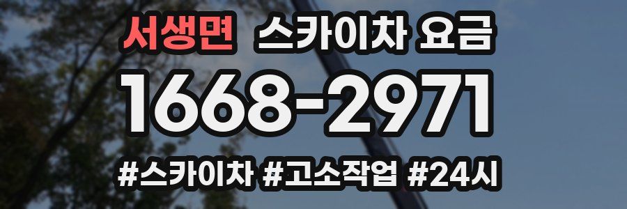 서생면 스카이차 요금