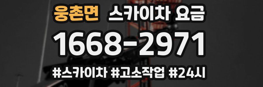 웅촌면 스카이차 요금