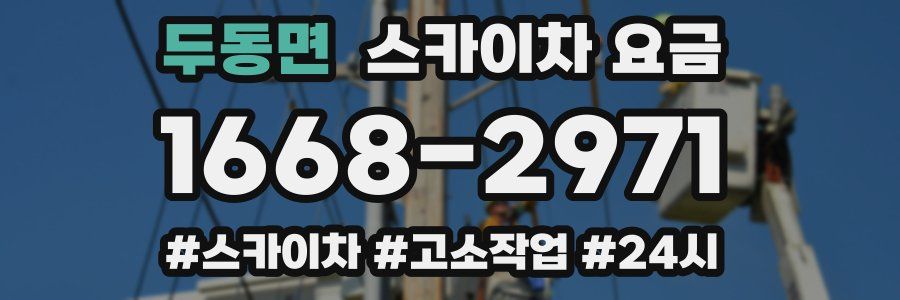 두동면 스카이차 요금
