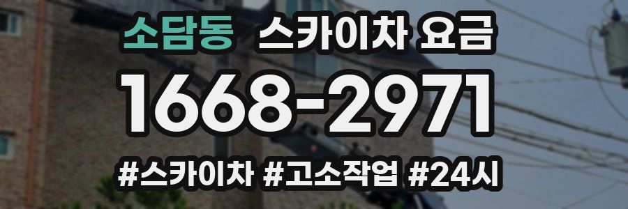 소담동 스카이차 요금