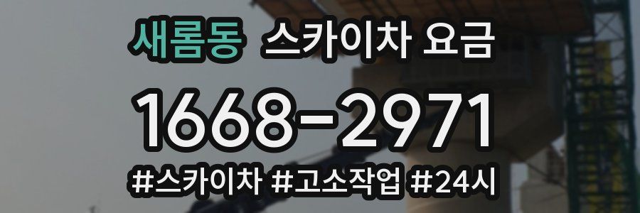 새롬동 스카이차 요금