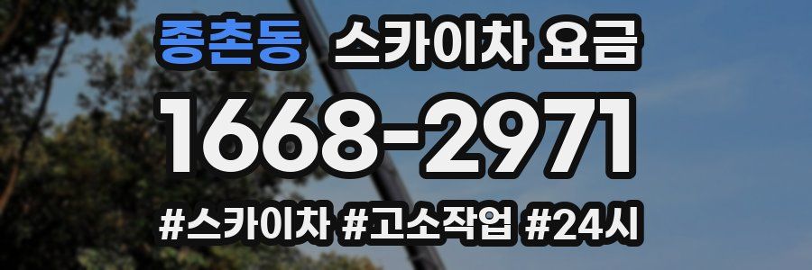종촌동 스카이차 요금