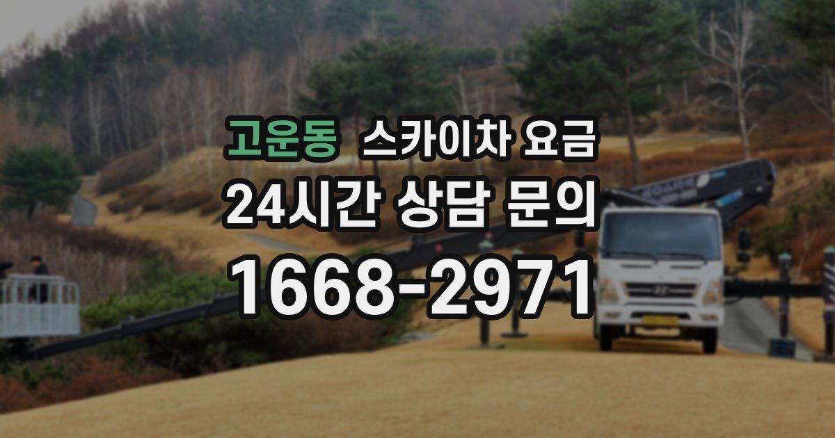 고운동 스카이차 요금