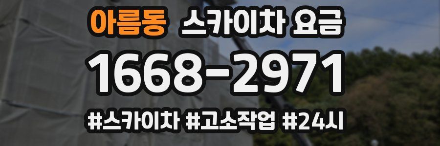아름동 스카이차 요금