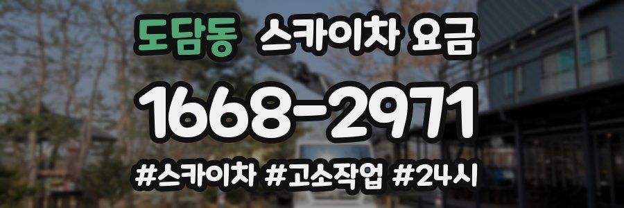 도담동 스카이차 요금