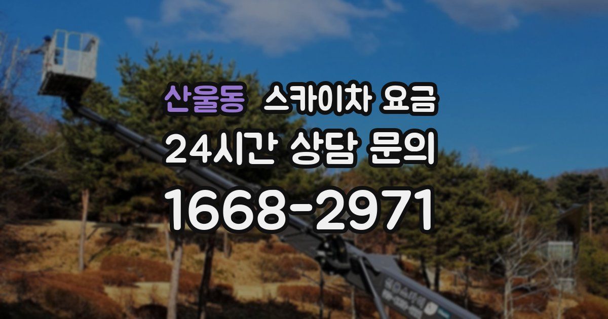 산울동 스카이차 요금