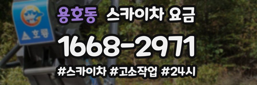 용호동 스카이차 요금