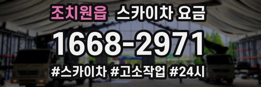 조치원읍 스카이차 요금