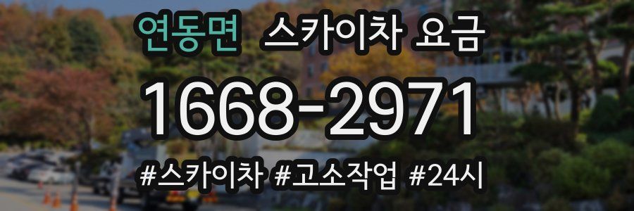 연동면 스카이차 요금