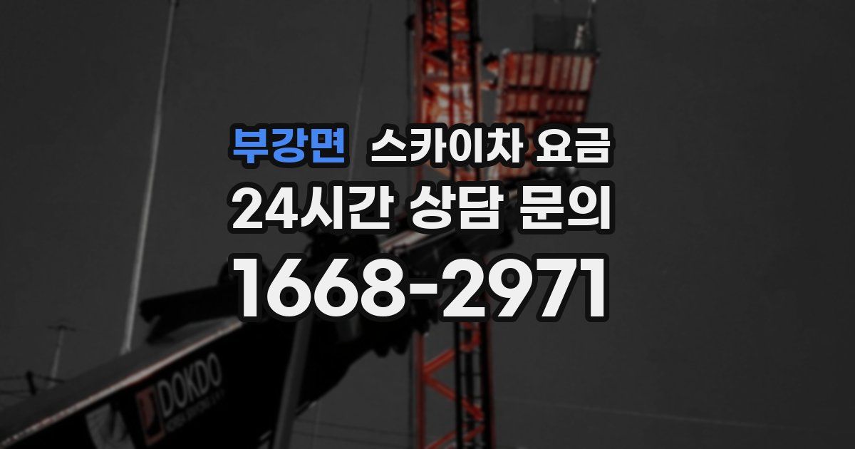 부강면 스카이차 요금