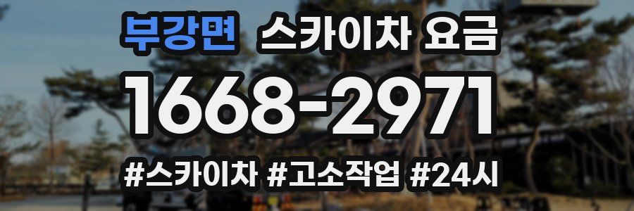 부강면 스카이차 요금