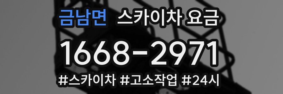 금남면 스카이차 요금