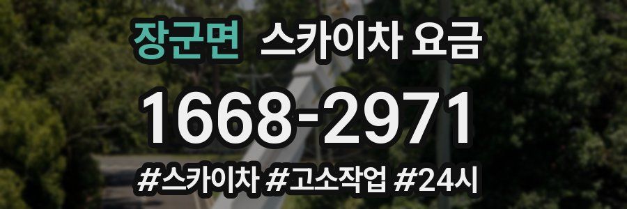 장군면 스카이차 요금