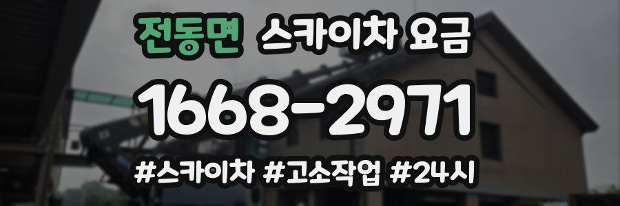 전동면 스카이차 요금