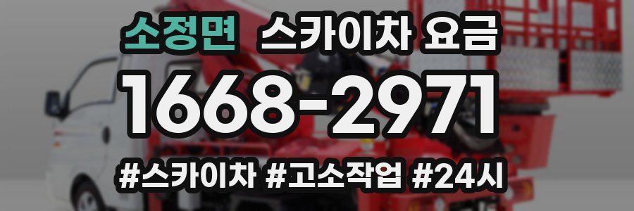 소정면 스카이차 요금