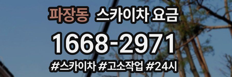 파장동 스카이차 요금