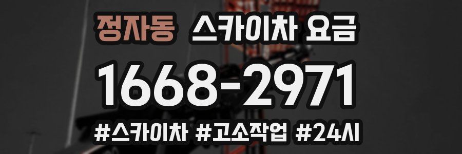 정자동 스카이차 요금