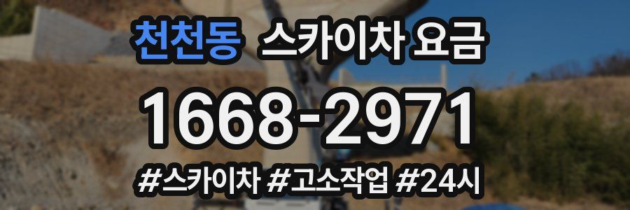 천천동 스카이차 요금