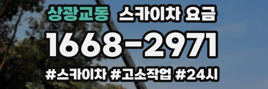 상광교동 스카이차 요금