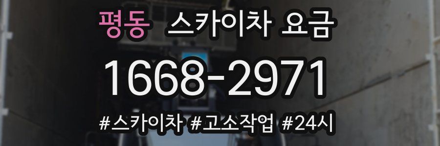 평동 스카이차 요금