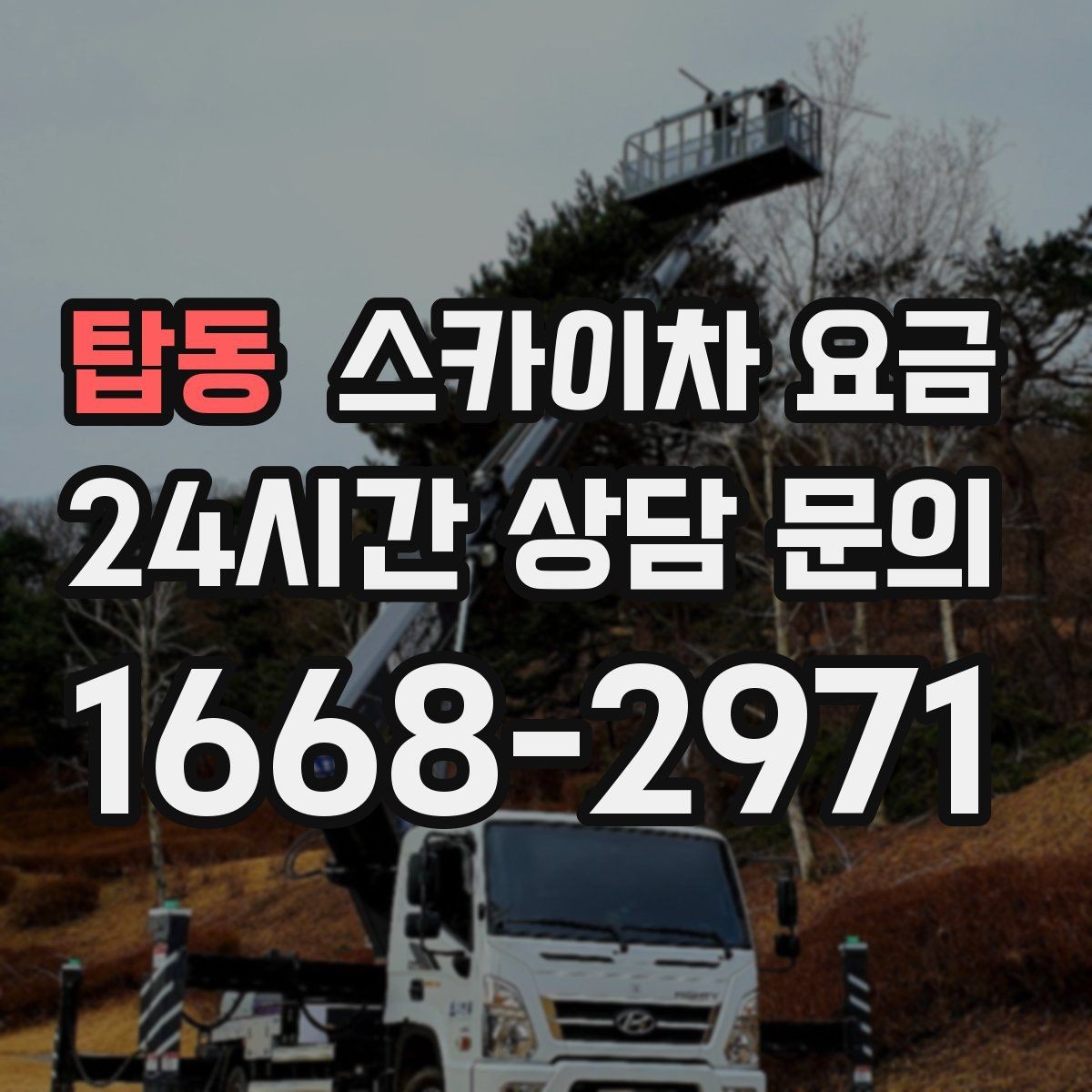 탑동 스카이차 요금 유리창 청소는 접근 난이도가 핵심입니다