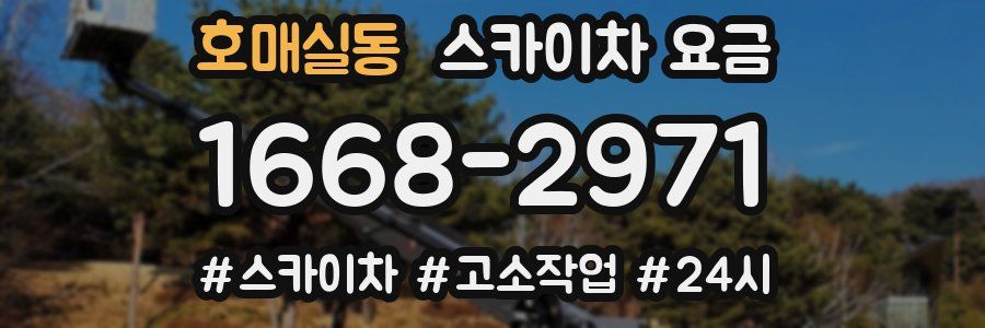 호매실동 스카이차 요금