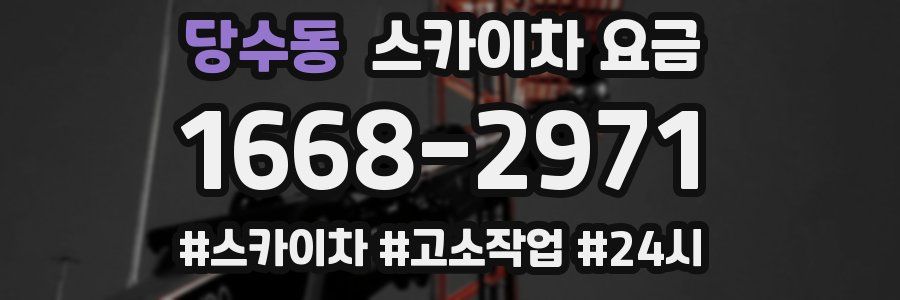 당수동 스카이차 요금