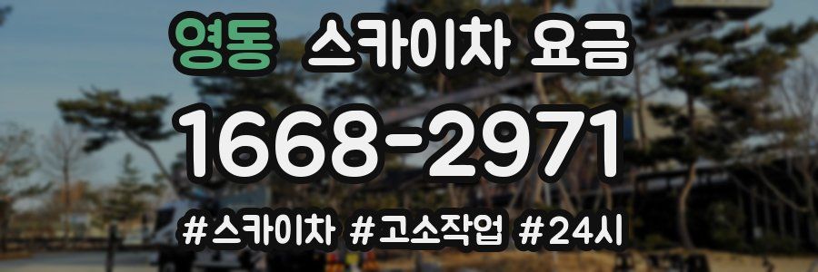 영동 스카이차 요금