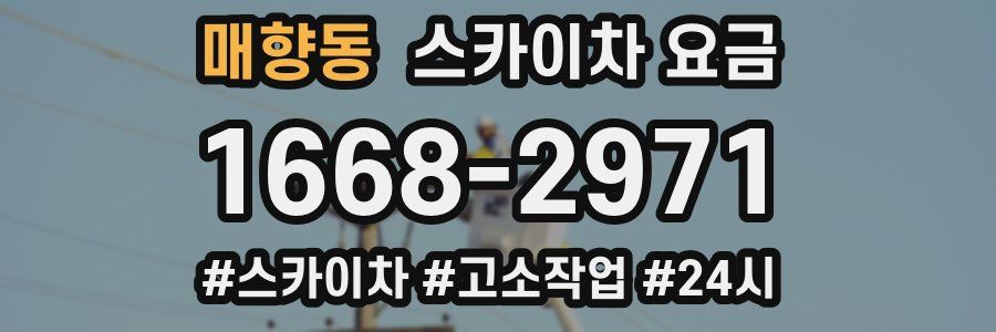 매향동 스카이차 요금