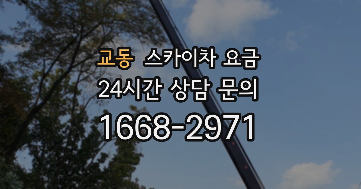 교동 스카이차 요금