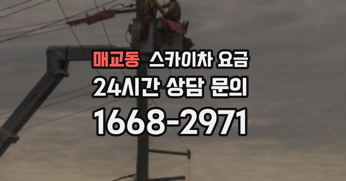 매교동 스카이차 요금