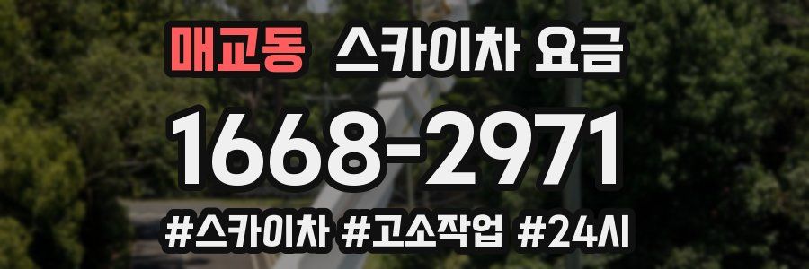 매교동 스카이차 요금