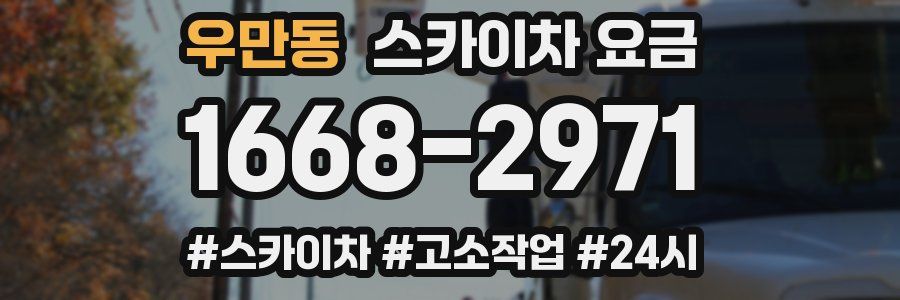 우만동 스카이차 요금
