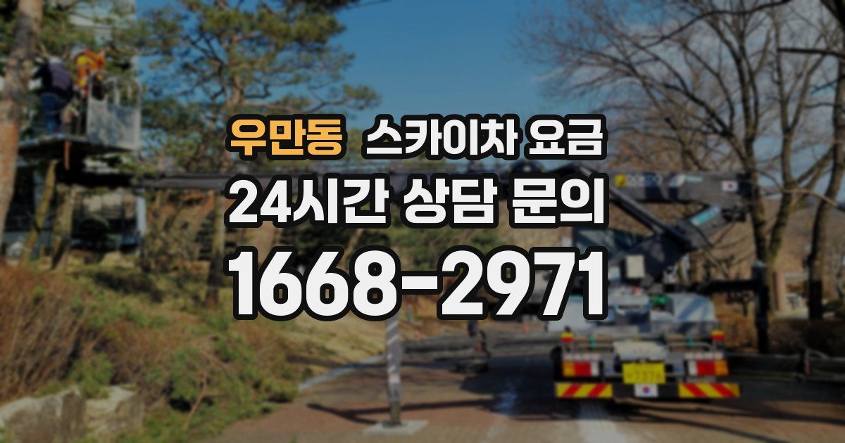 우만동 스카이차 요금