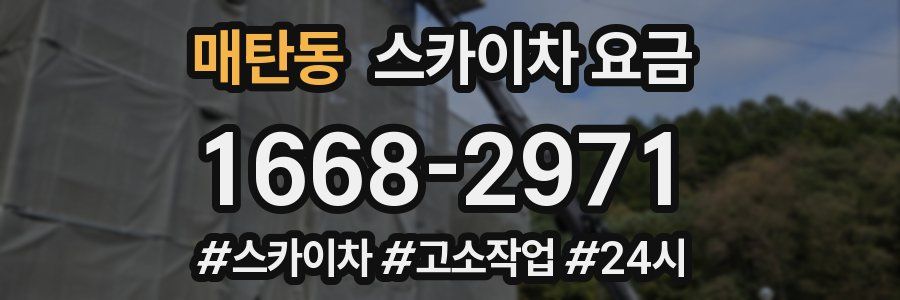 매탄동 스카이차 요금