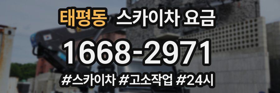 태평동 스카이차 요금